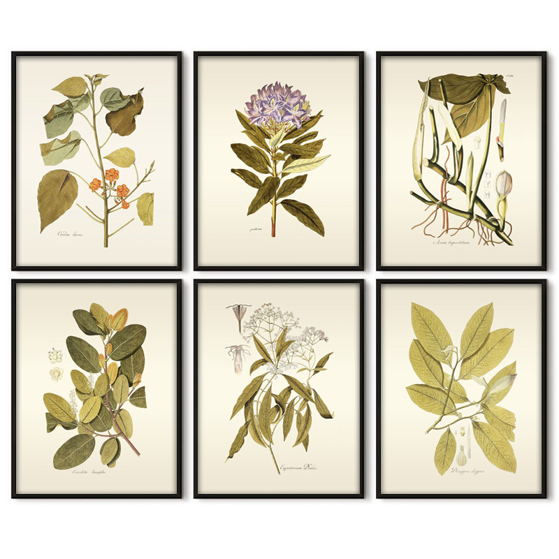 Office Furniture York - Pintura artística de pared de plantas