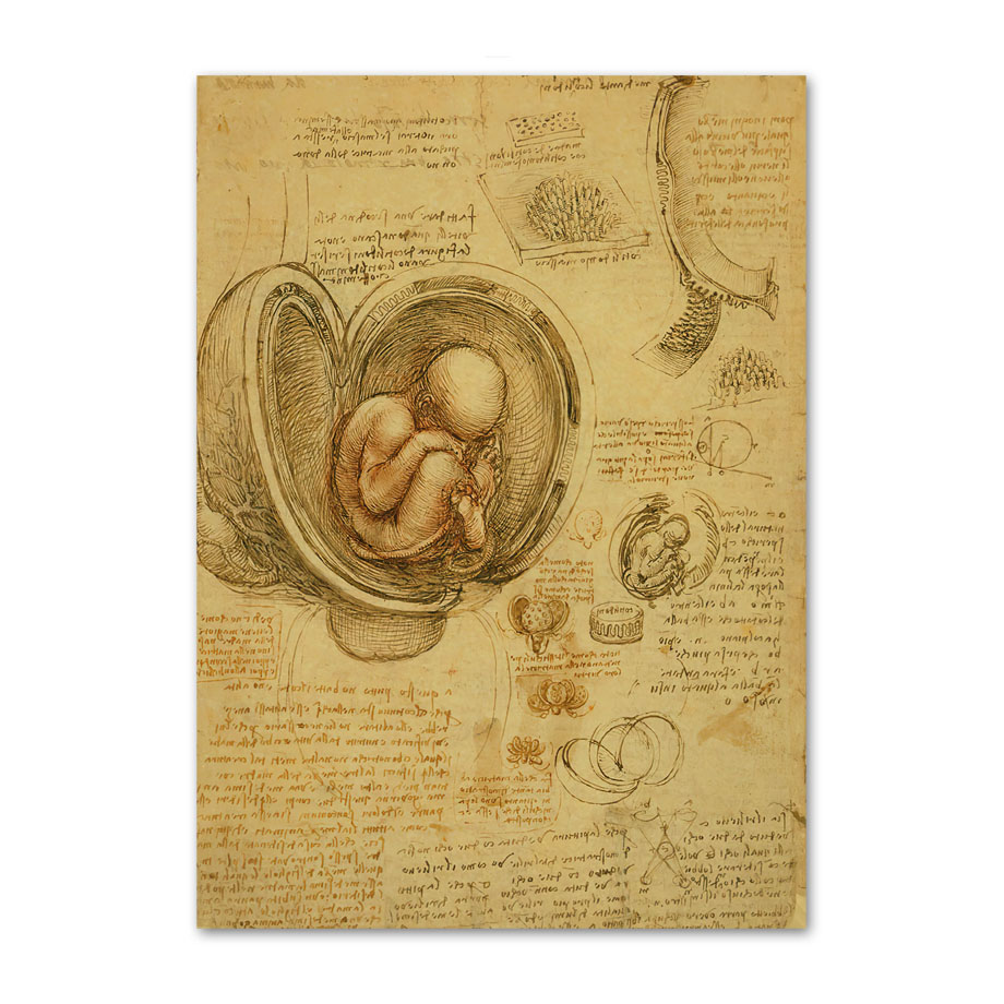 Pintura en lienzo de arte Retr - Office Furniture York reseña y precio